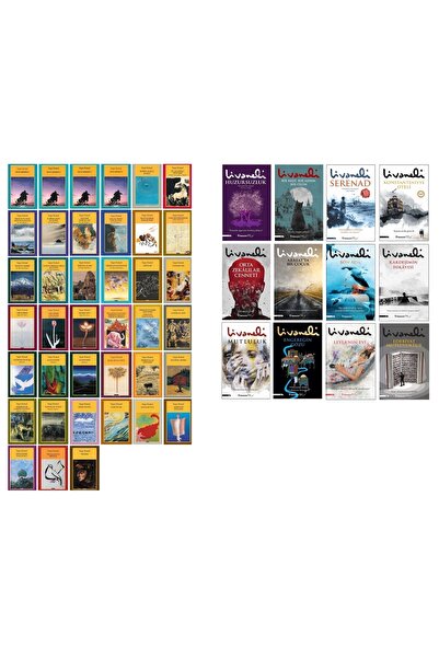 Yapı Kredi Yayınları Dev Kütüphanem Seti ( Yaşar Kemal 39 Adet Zülfü Livaneli...