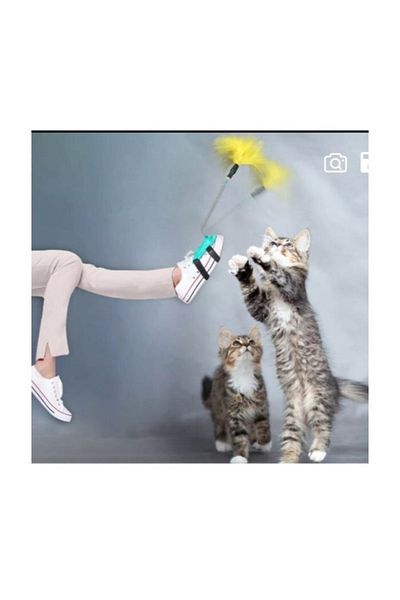 FABYAN 3 Piece Cat Toy and Feather Collection Set