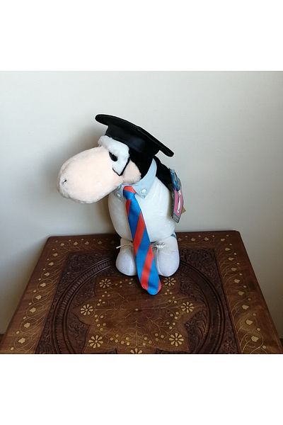 DAKIN TOYS Black and White Plush Penguin - Soft Filled Toy with Graduation Tie