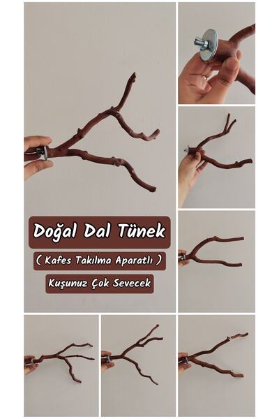 MDİZMİR Doğal Dal Tünek Ve 250gr Yem / Kafese Takma Aparatı Vardır / Karışık ...