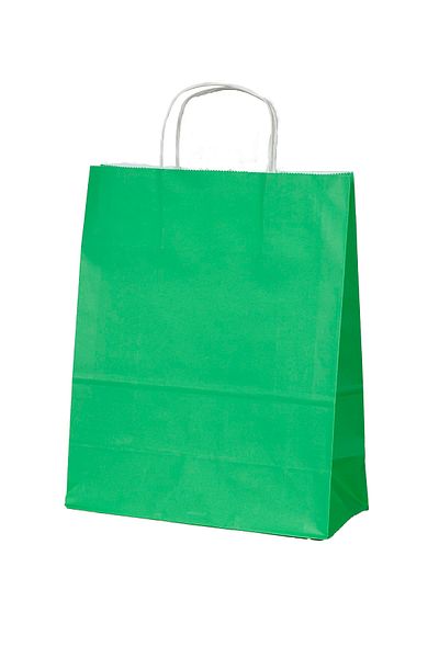 Kraft Green Bag 25*12*31 (50 Pieces) Green Sachet Bag with Twist Handle