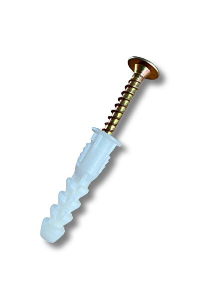 Selectron 8 Mm Vida&dübel Takımı | Pul Başlı | 100 Adet