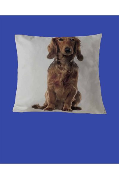 PETS & OTHERS Throw Pillow Pillow with Dog Figure 3D Digital Printed Inner Filling Zippered Washable Throw Pillow 35*35 Cm