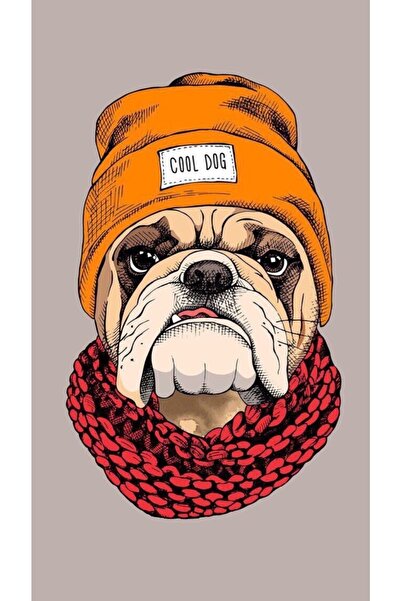 Buffalo Biker Buff Mask Neck Collar Outdoor Neck Collar Unisex Bandana Pack of 5