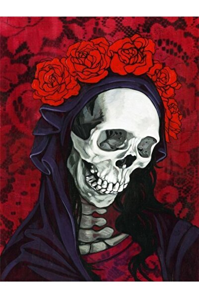 Buffalo Biker Buff Mask Neck Collar Outdoor Neck Collar Unisex Bandana Pack of 5