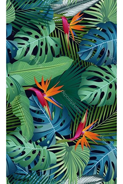 Buffalo Biker Buff Mask Neck Collar Outdoor Neck Collar Unisex Bandana Pack of 5