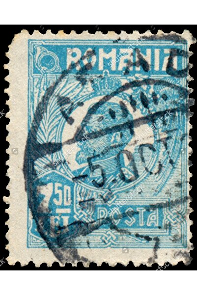 Buffalo Biker Buff Mask Neck Collar Outdoor Neck Collar Unisex Bandana Pack of 5