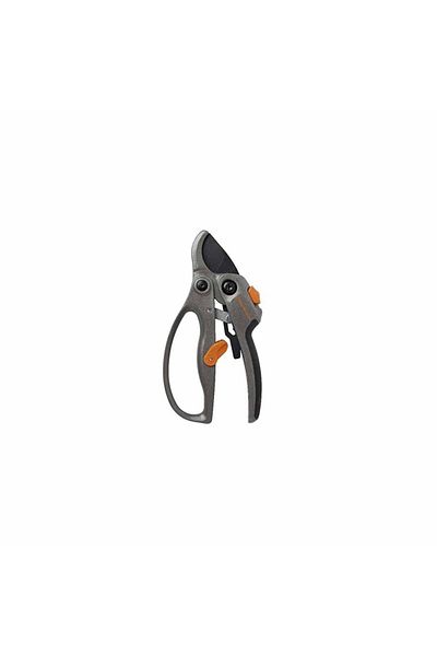 Aster Dry Branch Scissors