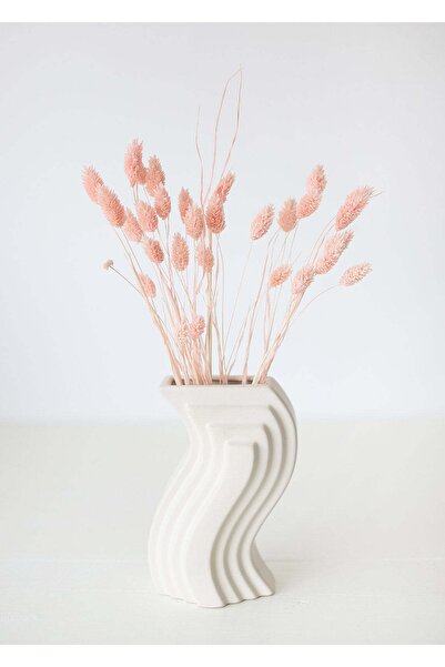 Hidden Botanics Pembe, Kuş Otu (PHALARİS) Kuru Çiçek, Ortalama 45 Sap, 40-45 ...