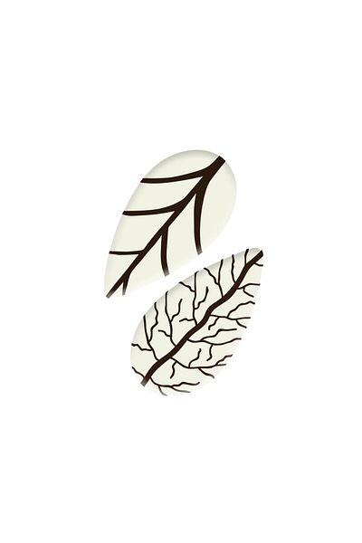Dr. Gusto Small Leaf Decoration Chocolate