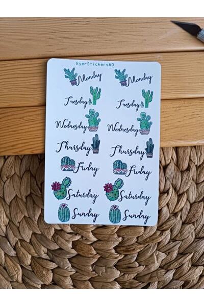 EyER Shoping Set nalepnica Weeks pogodan za Bullet Journal. Zeleni