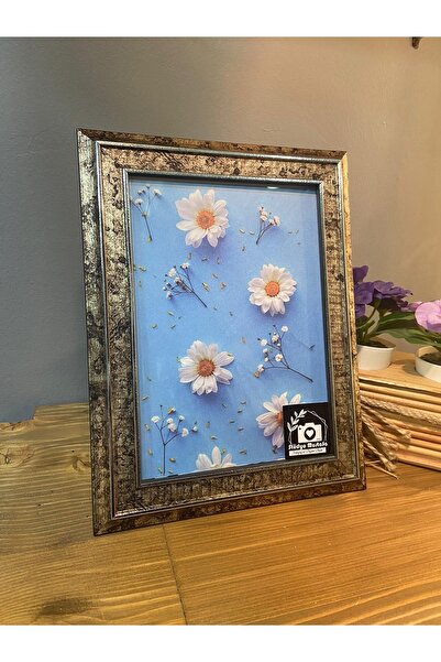 stüdyo mustafa fotoğraf & digital baskı 2010 إطار ألبوم صور Sepya مقاس 15x21