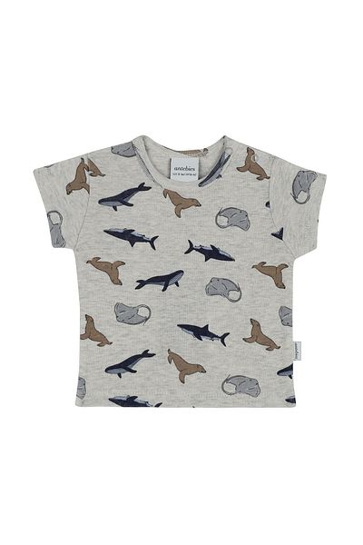 Antebies Life in the Sea T-Shirt