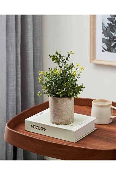 Eglo 428025 "CHITOSE" 25 Cm Yüksekliğinde Plastik Kahveengi, Yeşil Saksıda Ya...