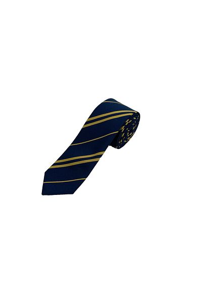 Brianze Navy Blue Yellow Striped Slim Tie