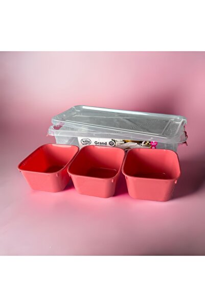 HOBBY LİFE 3 Compartment Shallow Grand Organized Storage Container 2 Pack