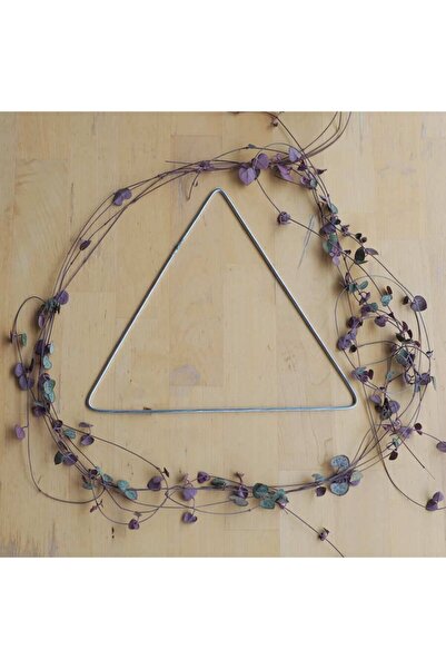 Ritzz Металевий трикутний шків