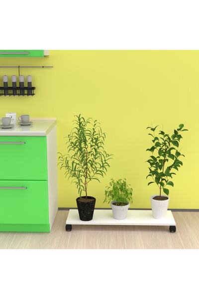 Kenzlife Saksı Altlığı Kazım Byz 010*090*30 Tüp Saksılık