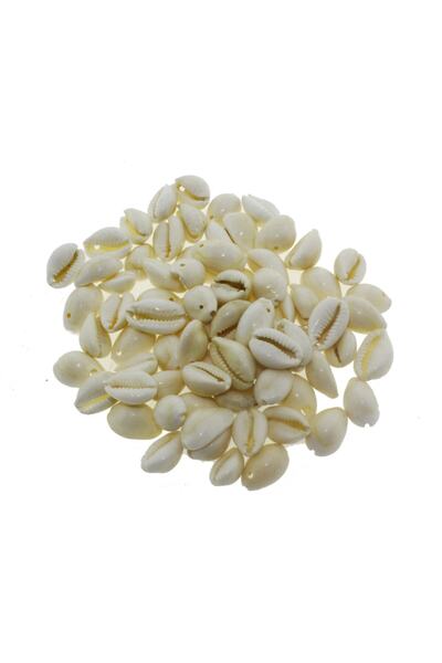 mutlu adım Annulus Deniz Kabuğu Delikli 100gr