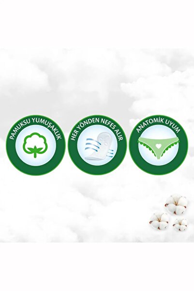 Molped Günlük Ped Pure&soft Cilt Dostu 16'lıx24 Adet