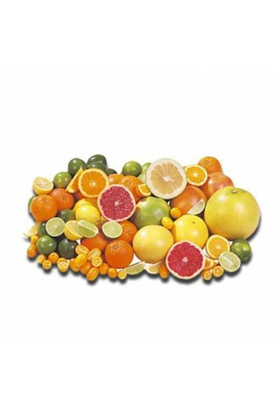 Kiwi Citrus Juicer Automatic Kcj-1803
