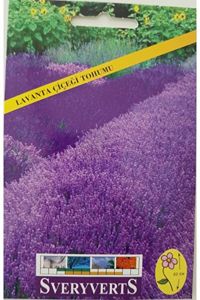 SVERYVERTS Lavanta Tohumu 1 Paket 10-15 Adet Lavanta Çiçeği Tohumu