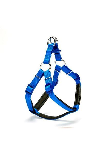 Doggie Adgt-s Blue - قطع مريح