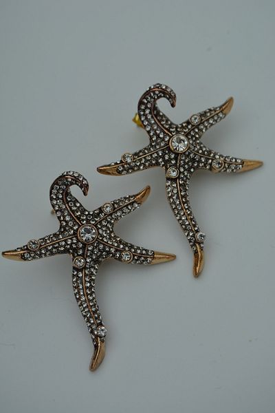 Stoneage Starfish Zircon Stone Women's Earrings