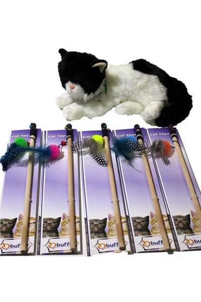 Erkek Kedi Urunleri Modelleri Fiyatlari Trendyol