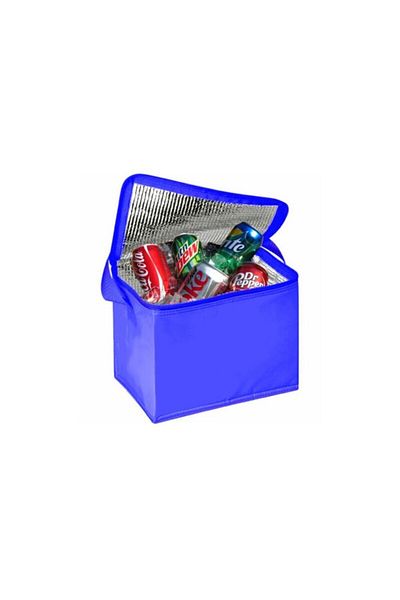 Ankaflex Geantă termică pentru picnic pentru camping - Suport rece și protector termic