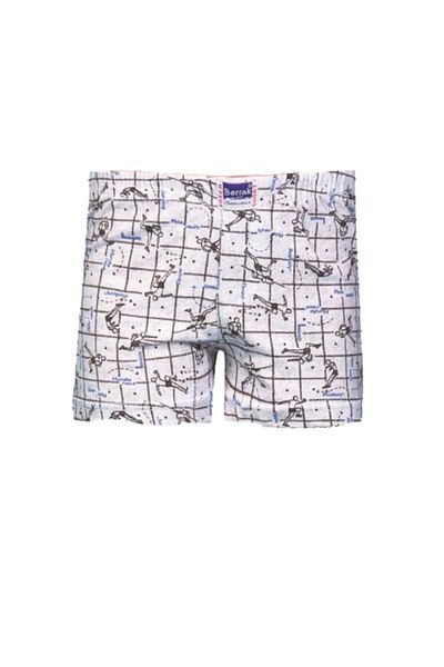 Berrak Boy's Gray Patterned Combed Cotton Boxer Set of 6