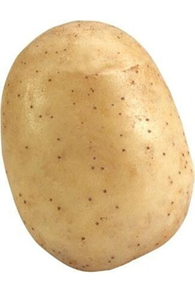 Cegel Ziraat Melody Patates Tohumu 5 Kg