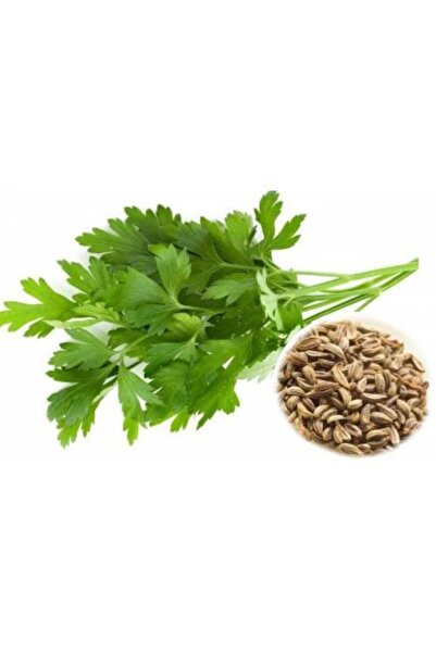 Tohumcumm 4 Lü Set Maydanoz Tohumu Dere Otu Tohumu Turp Tohumu Roka Tohumu Se...