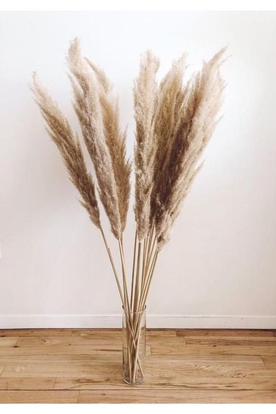Aker Hediyelik Pampas Herb Plant Light Brown Cheap Dry Natural 12 Pieces Pampas