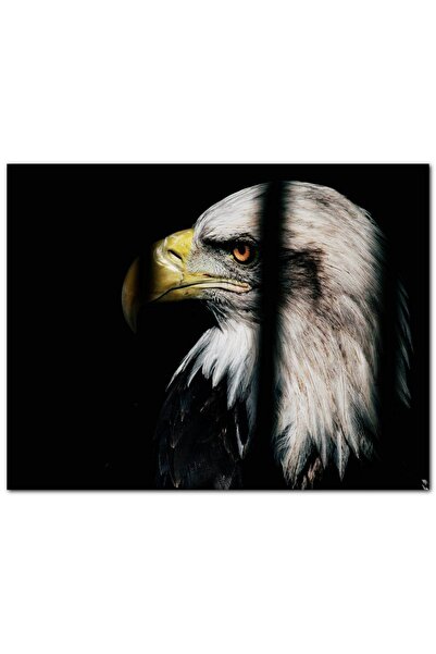 Cakatablo Αετός που περνάει μέσα από ξύλινα σιδερένια κλουβιά (Μέγεθος 25x35 ...