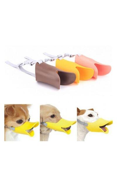 Kopek Agizlik Cesitleri Ve Fiyatlari Trendyol Kopek Agizlik Cesitleri Ve Fiyatlari Trendyol