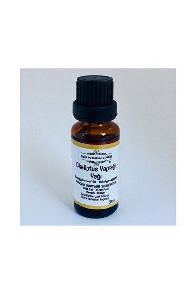 Okaliptus Yaprağı Yağı 20 ml