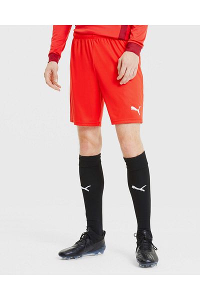 Puma Shorts Teamgoal 23 Knit Shorts70426201