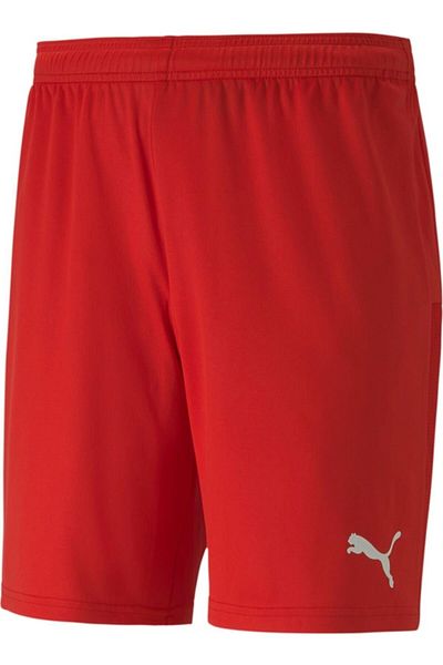 Puma Shorts Teamgoal 23 Knit Shorts70426201
