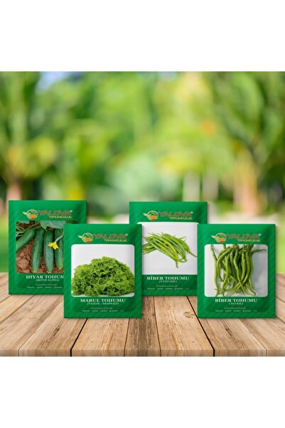 YALOVA TOHUMCULUK -4 Farklı Sebze Tohumu(hıyar,yazlık Marul,tatlı Kıl Biber,a...