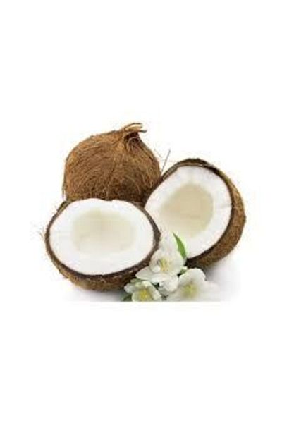 Mecitefendi Coconut Oil 20 ml
