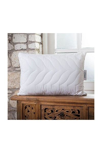 OTHELLO Lovera Aleovera Mattress Pillow 50x70 Cm (50*70)