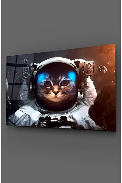 TAULART Pictură pe sticlă cu pisică astronaut