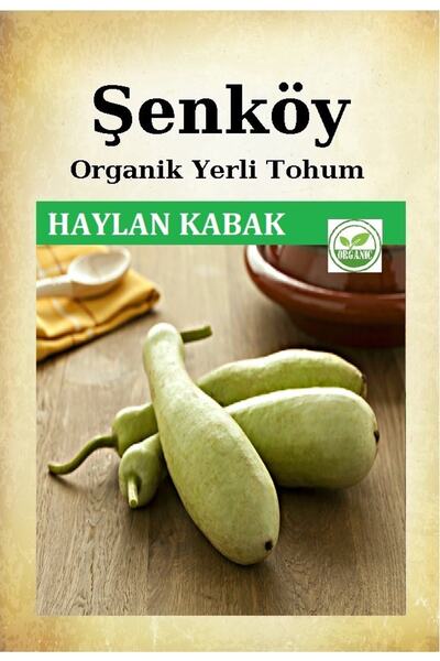 Şenköy Yerli Haylan Kabak Tohumu Doğal Ata Tohum Pakette 10 Gr 35 Tohum + Hed...