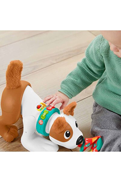 FISHER PRICE Emeklemeyi Ve Saymayı Öğreten Köpekçik Hhh13