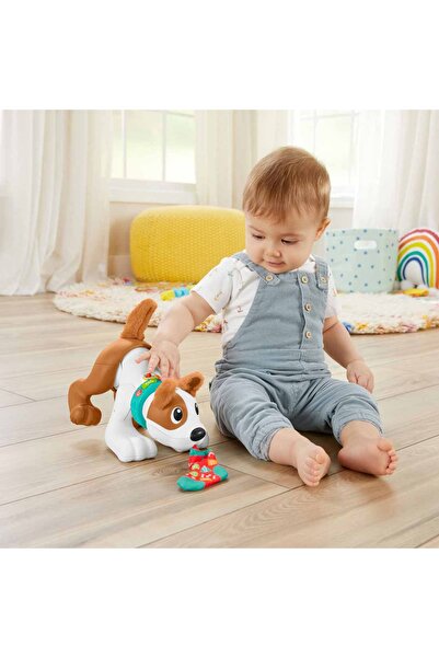 FISHER PRICE Emeklemeyi Ve Saymayı Öğreten Köpekçik Hhh13