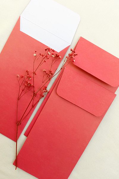 Dekorden 100 Pieces 11X22 Cm. Red Invitation Envelope