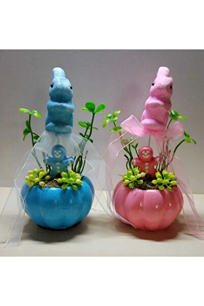 Decorium Yeni Doğan Ikiz Bebek Hediyesi Doğum Tebrik Hediyesi Sevimli Tavşanc...