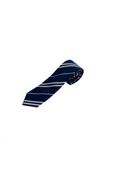 Brianze Navy Blue White Striped Slim Tie