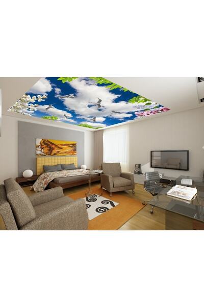 Miray Dekorasyon Gergi Tavan